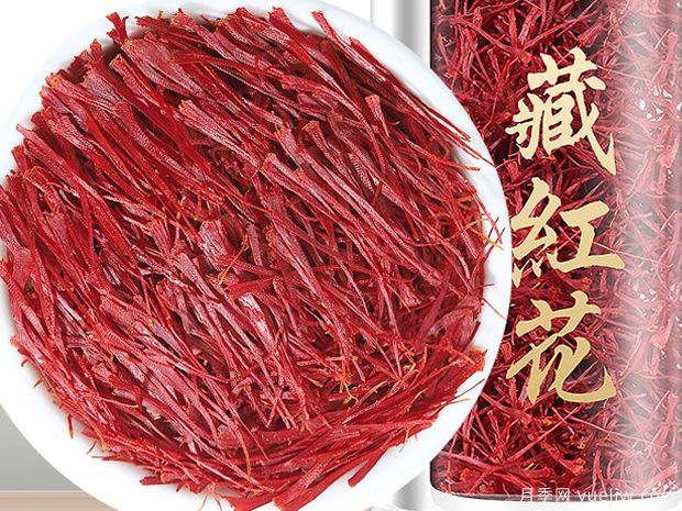 藏紅花的特點(diǎn)和圖片(圖3)